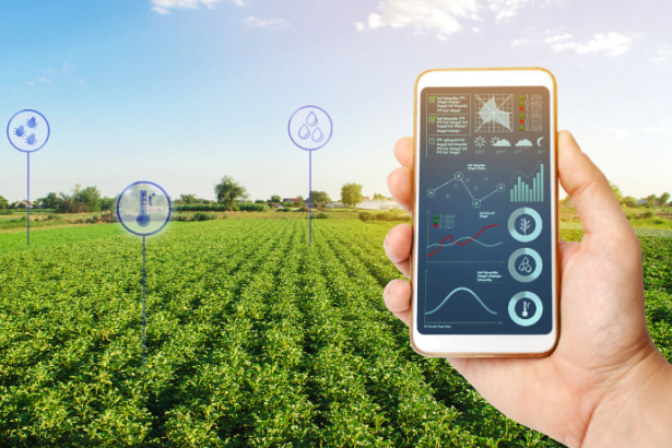 Roberto Luiz da Silva Logrado