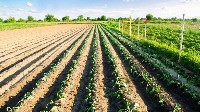 O reaproveitamento de resíduos no agro abre oportunidades econômicas e ecológicas — uma prática que Aldo Vendramin considera estratégica para o futuro do setor.