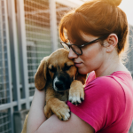 Política de Acolhimento para Animais Resgatados em Desastres Ganha Força no Brasil