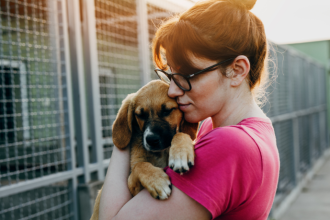 Política de Acolhimento para Animais Resgatados em Desastres Ganha Força no Brasil