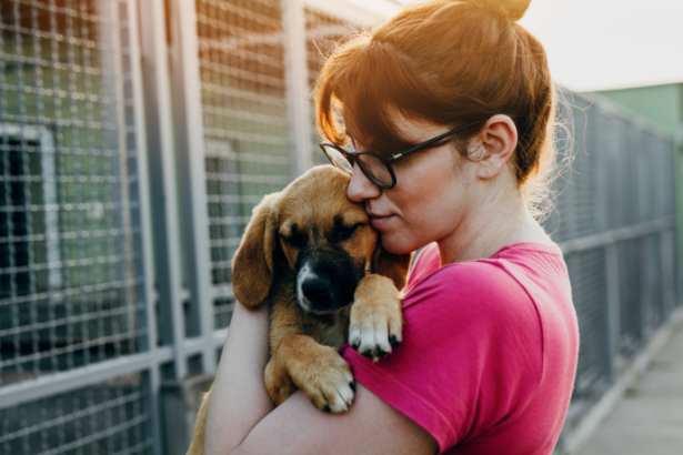 Política de Acolhimento para Animais Resgatados em Desastres Ganha Força no Brasil