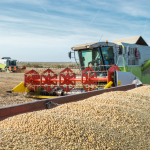 Safra de Soja 2026: Projeções Apontam Novo Recorde Histórico