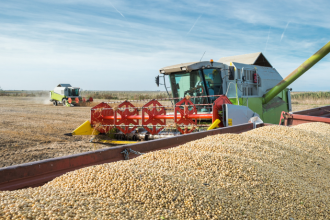 Safra de Soja 2026: Projeções Apontam Novo Recorde Histórico