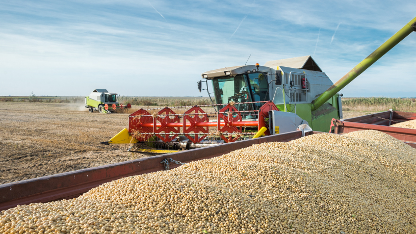 Safra de Soja 2026: Projeções Apontam Novo Recorde Histórico