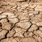 Falta de chuva e reservatórios sob pressão: por que especialistas acompanham o clima com atenção em 2026