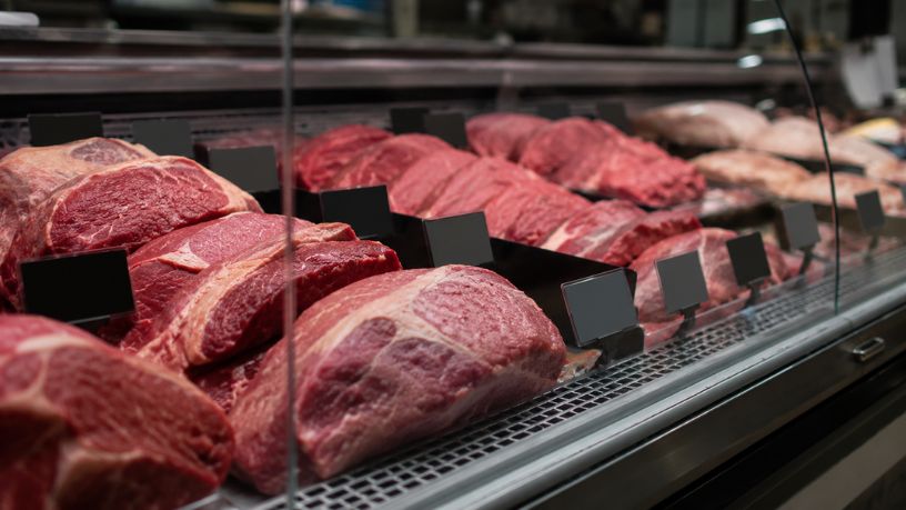 O Veto da União Europeia à Carne Brasileira e as Novas Exigências de Rastreabilidade no Campo